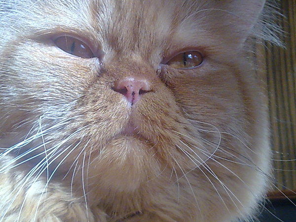 Панченко Иван