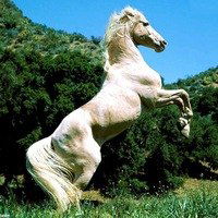 Милана Боброва