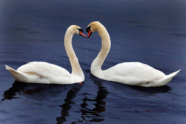 Ирина Aльмукова