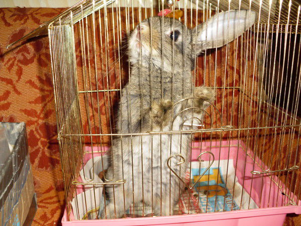 Людмила Гичкина