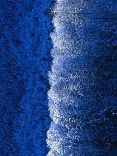 Василий Аркайкин