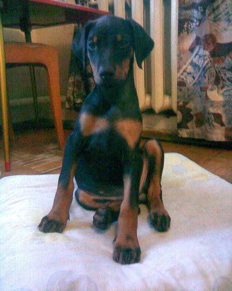 Ольга Калинина