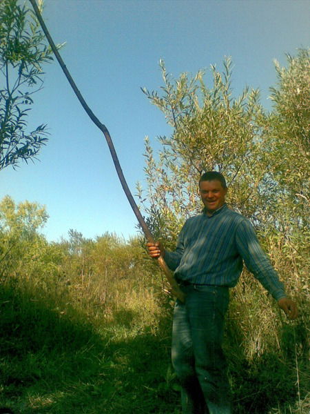 Виктор Варенников