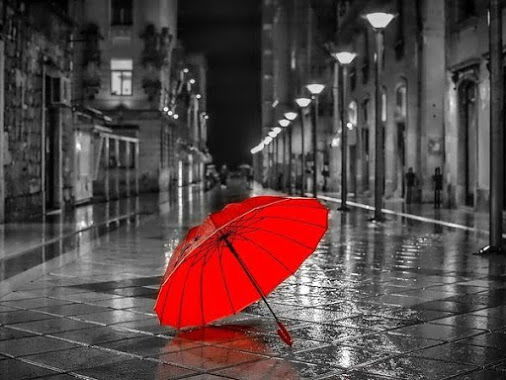 Наталья Колесник