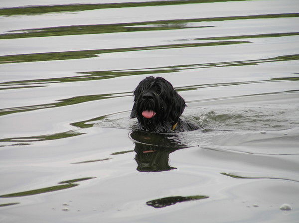 Игорь Чернышев