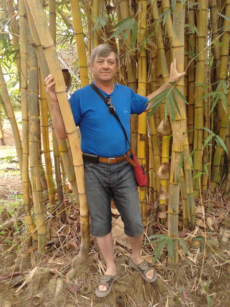 Александр Васильев