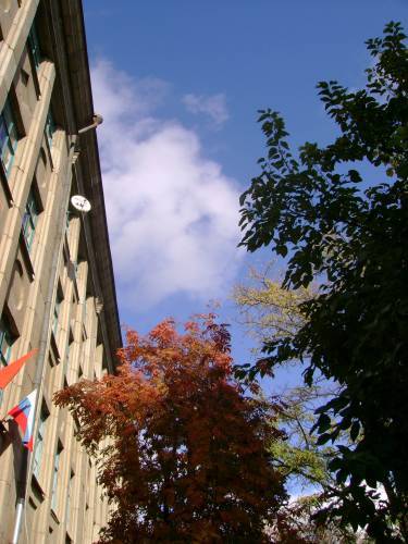 Моу Гимназия №3 Г.волгограда