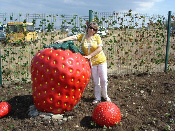 Марина Дмитрива