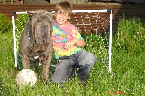 Виленская Наталья