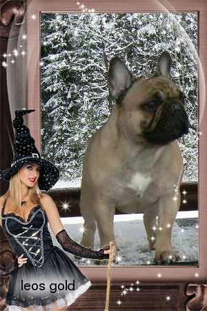 Елена Осадче