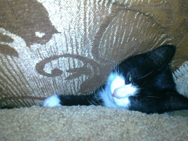 Оля Первакова