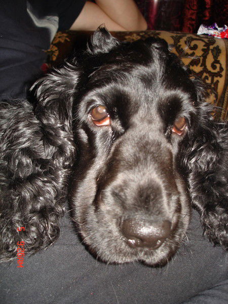 Ирина Иванова