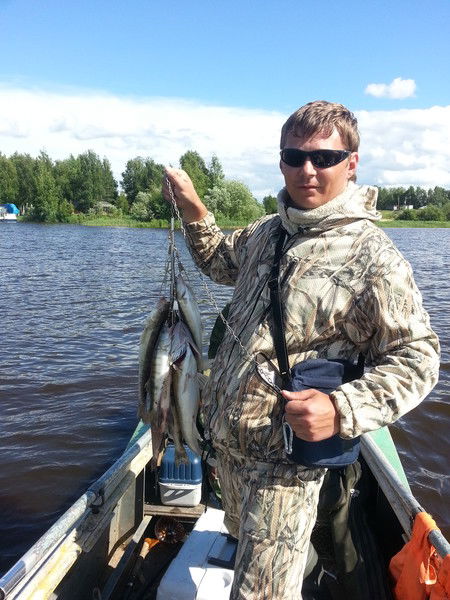 Андрей Брыль