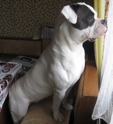 Наталья Пелевина