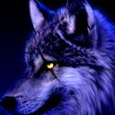 Витёк Радченко