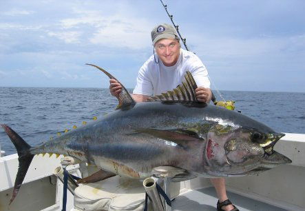 Александр Ермоха