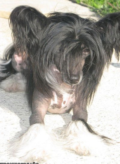 Татьяна Югай