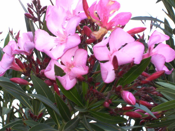 Ирина Титова