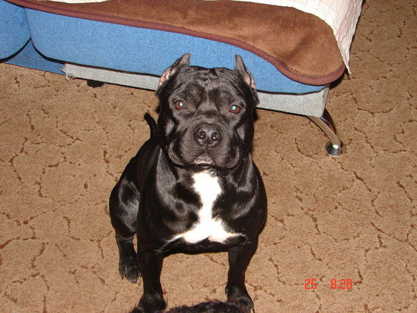 Светлана Барабанщикова