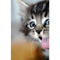 Виктория Чернега