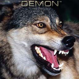 Дмитрий Дмитриев