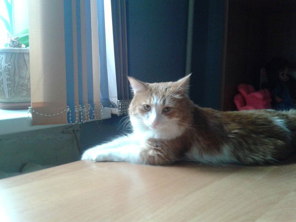 Гунствин Валерий