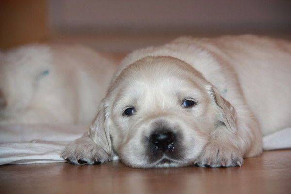 Эдуард Маслов