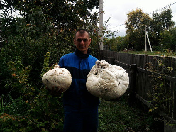 Дима Батура