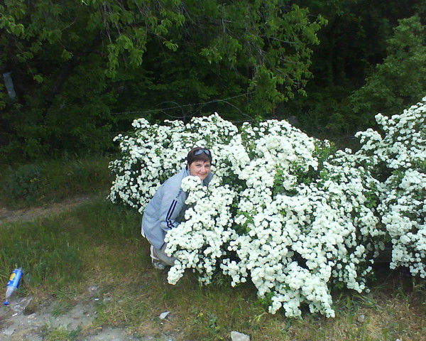 Галина Шаполова