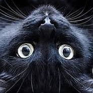 Лилия Пономарева