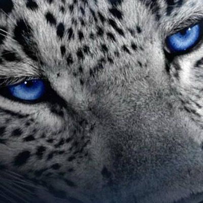 Святослав Сузгаєв