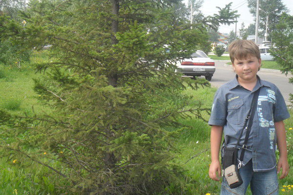 Богдан Власов