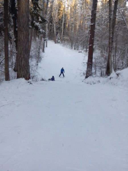 Сергей Сапегин