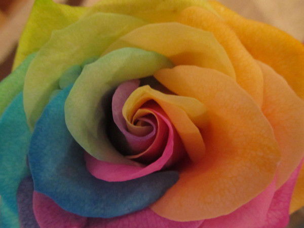 Татьяна Королевская