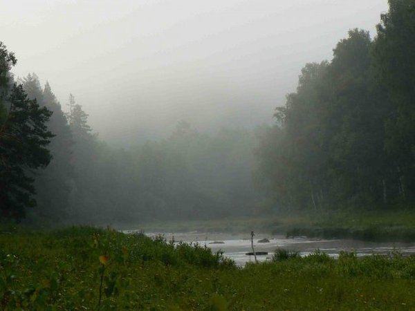 Анна Вдовина