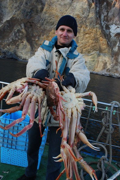 Алексей Кулик