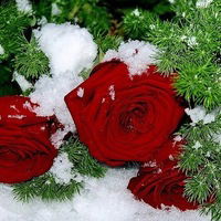 Оксана Колобкова