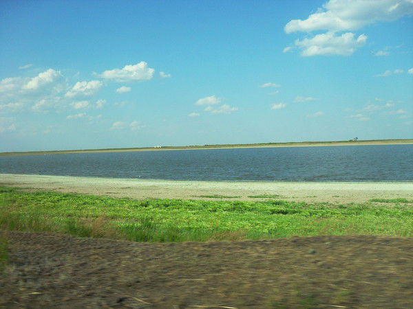 Василий Саевич