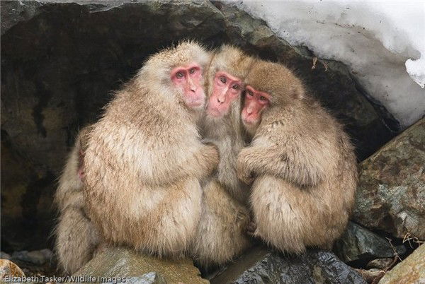 Максим Сытько