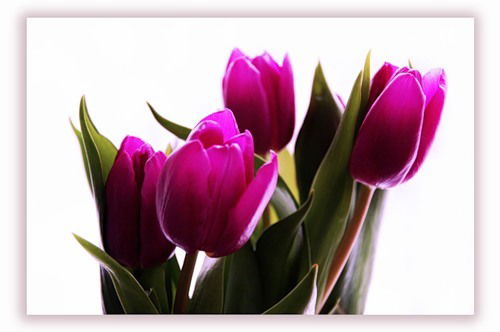 Маржан Утегенова