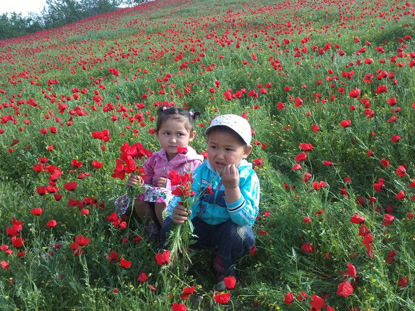 Чынгыз Аманов