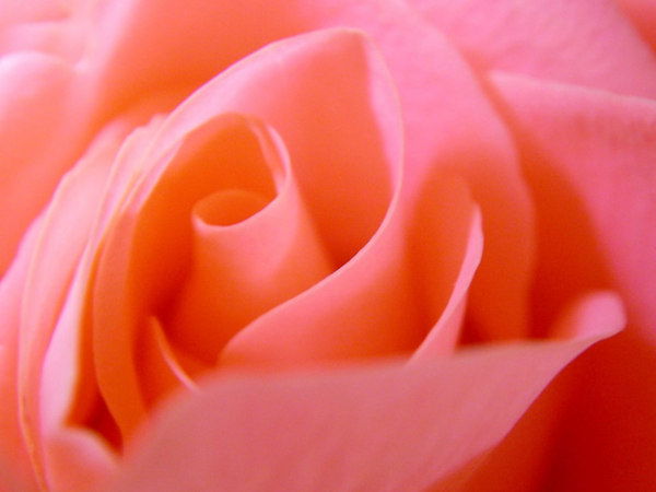 Сайра Бекбердиева