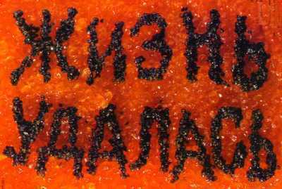 Настя Настенова