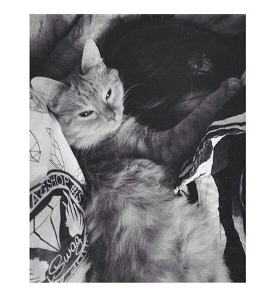 Лера Архангельская