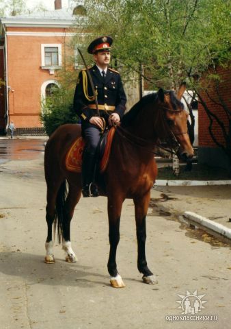 Владимир Мацыль