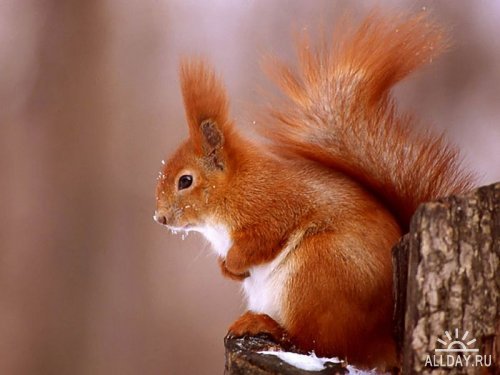 Юленька Юленька