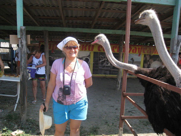 Ира Шолохова