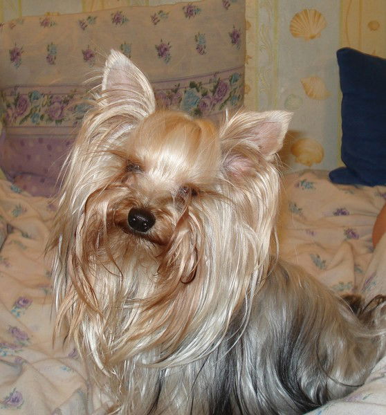 Наталья Климова