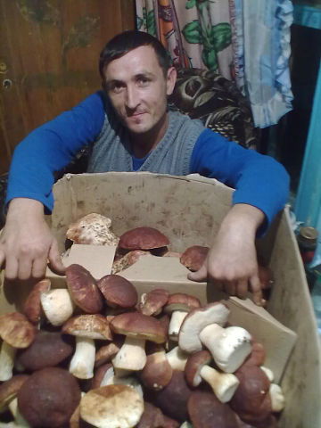 Сергей Городецкий