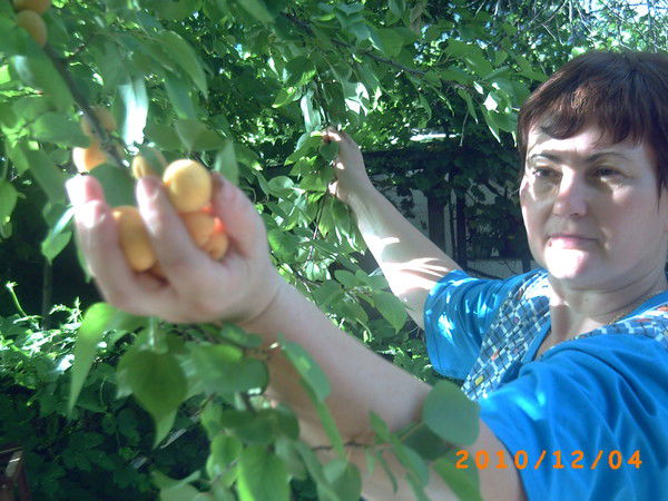 Галина Костенко